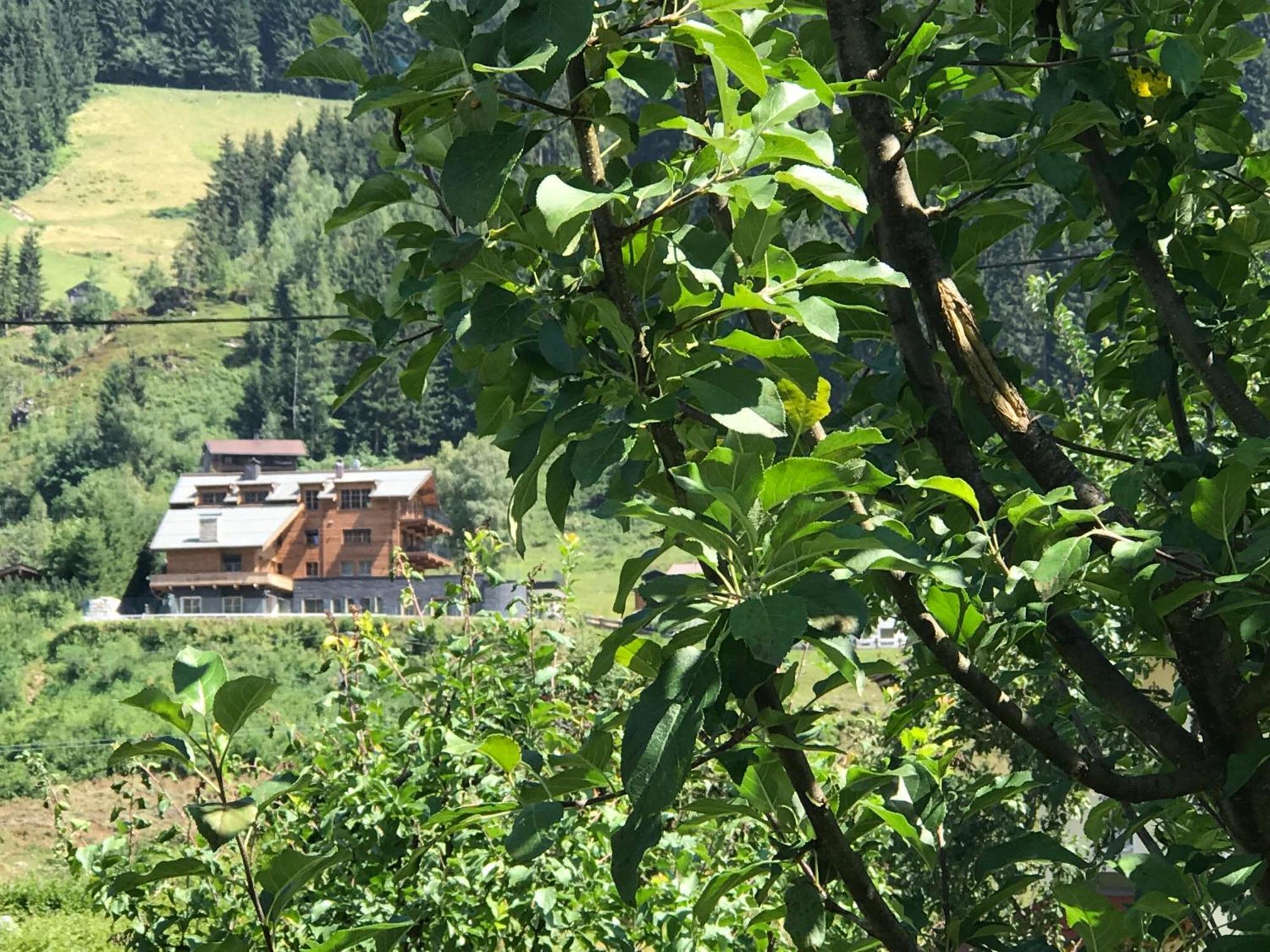 Das Kitz Jochberg Eksteriør billede